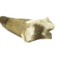 Omc 1960.719.009  (2) Edited